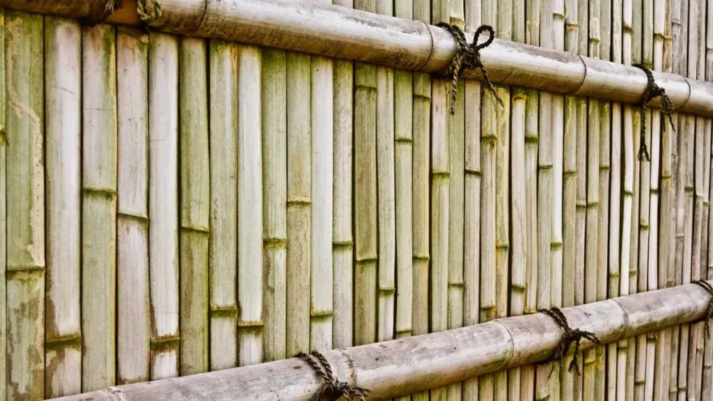 Bamboo Fencing